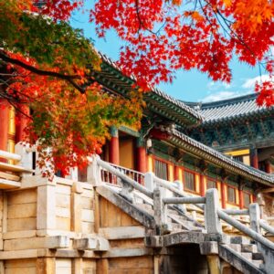 【慶州訂製遊】私人包車